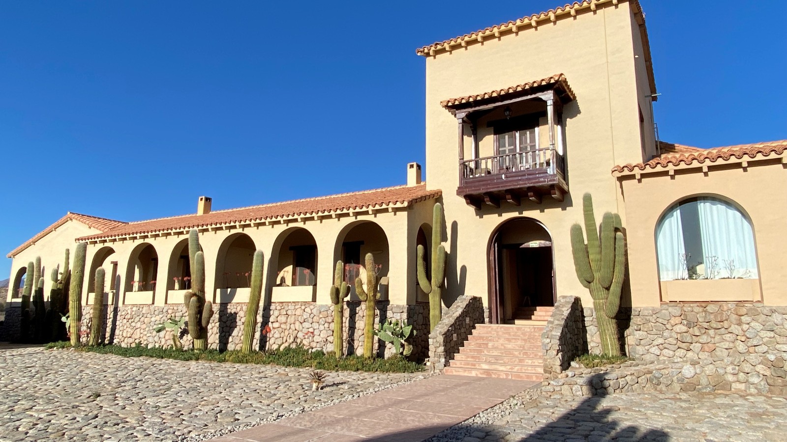 High-altitude vineyards and Andean mountain valley at Estancia Colome in Salta, Argentina