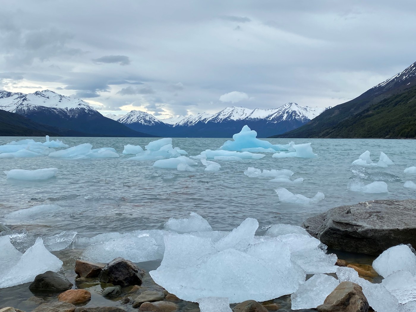 Icebergs floating on the pristine turquoise lake front of Perito Moreno Glacier