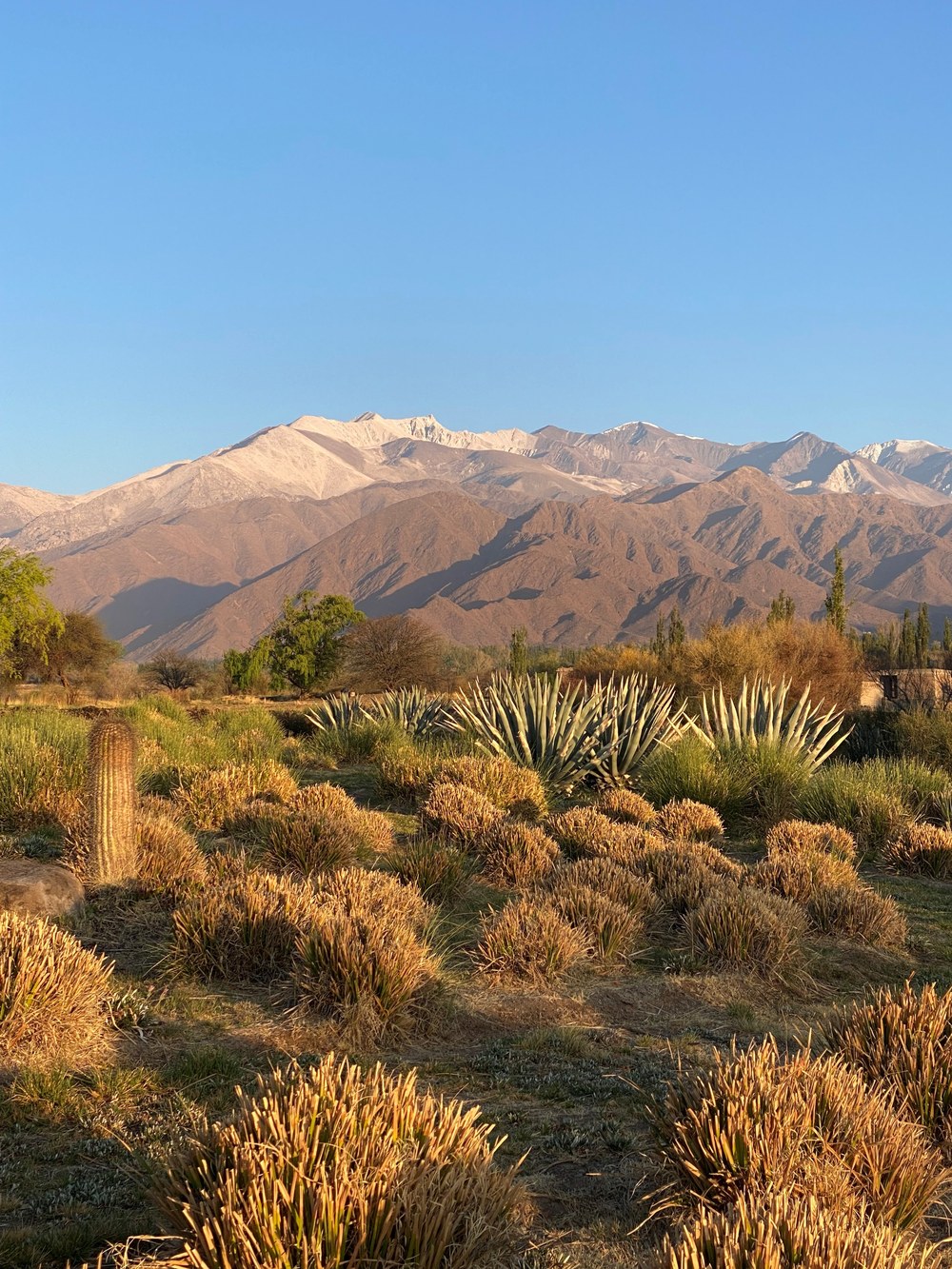 Sunrise over the dramatic cactus-studded mountains of Northwest Argentina
