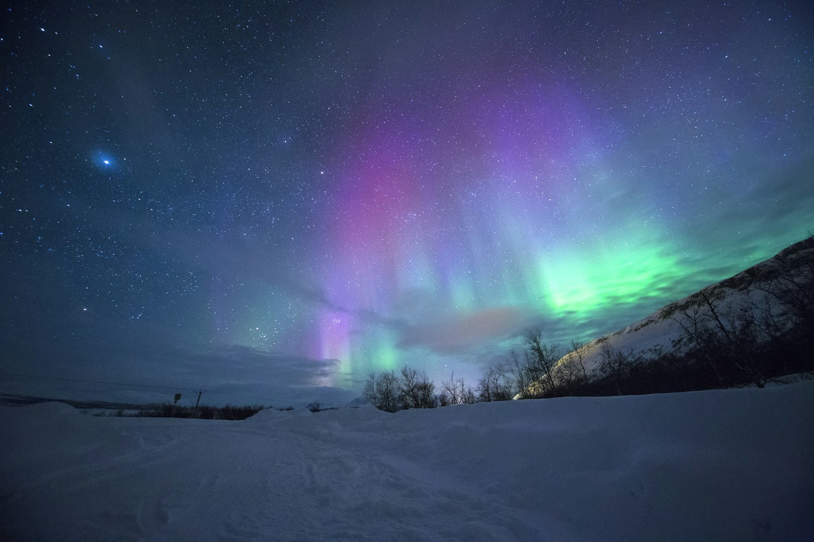 Vibrant purple and green Aurora Borealis dancing over snow-capped mountains in Tromso, Norway