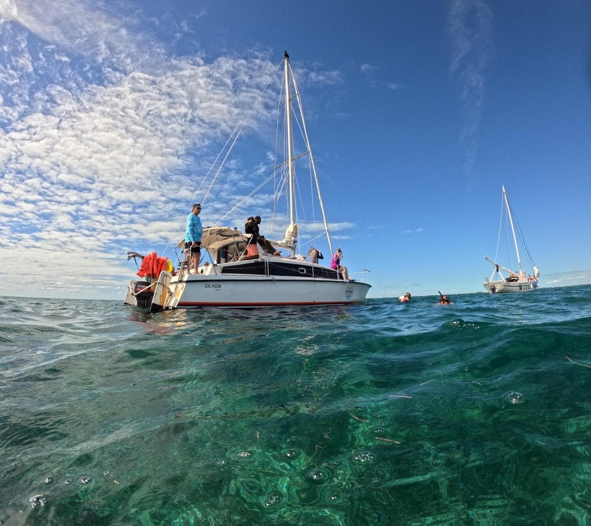 Snorkeling with gentle southern stingrays and nurse sharks at Shark Ray Alley