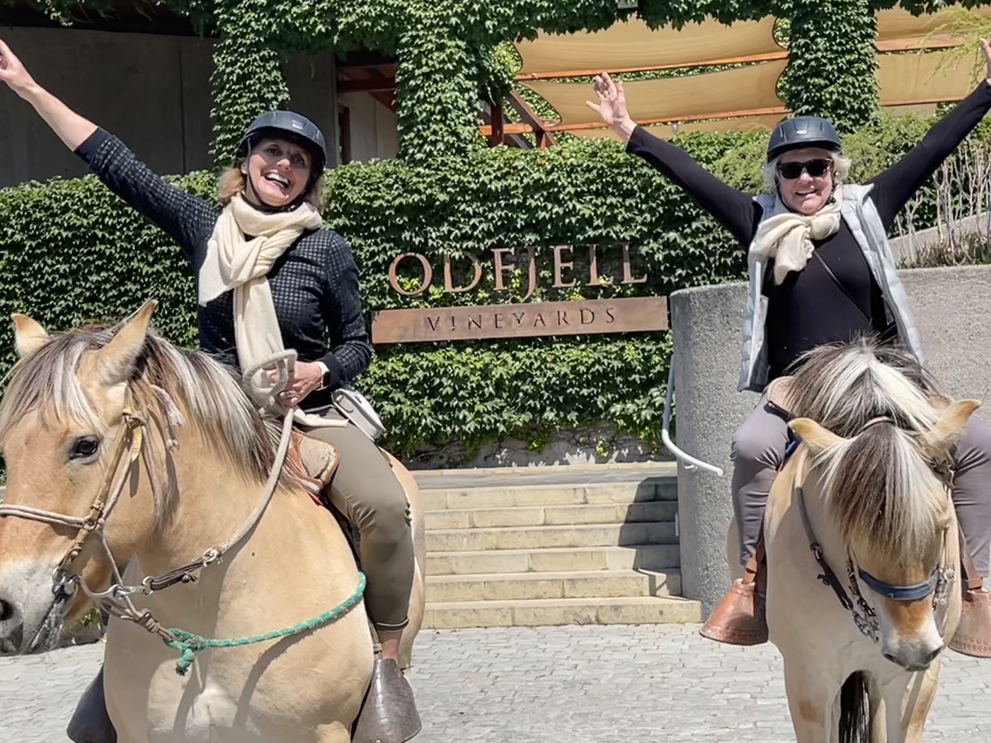 Heidi Podjavorsek and wife riding Norwegian Fjord horses at Odfjell Vineyards in Chile