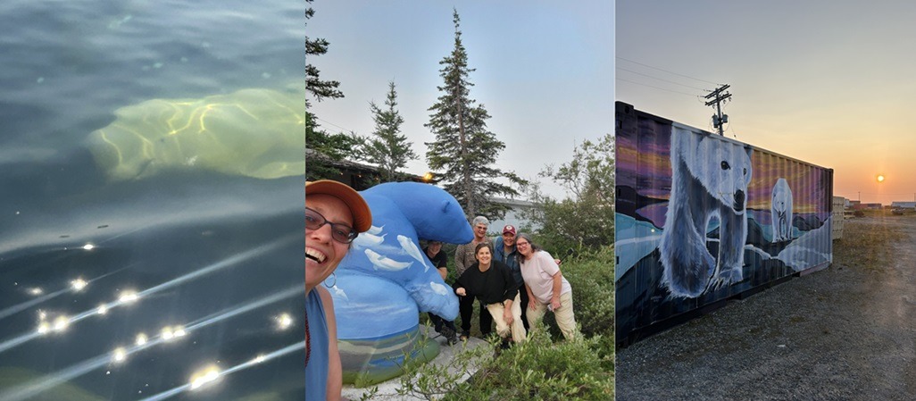 Churchill expedition moments: curious beluga whale underwater, Women in the Wild group posing with bear statue, and polar bear container mural at sunset