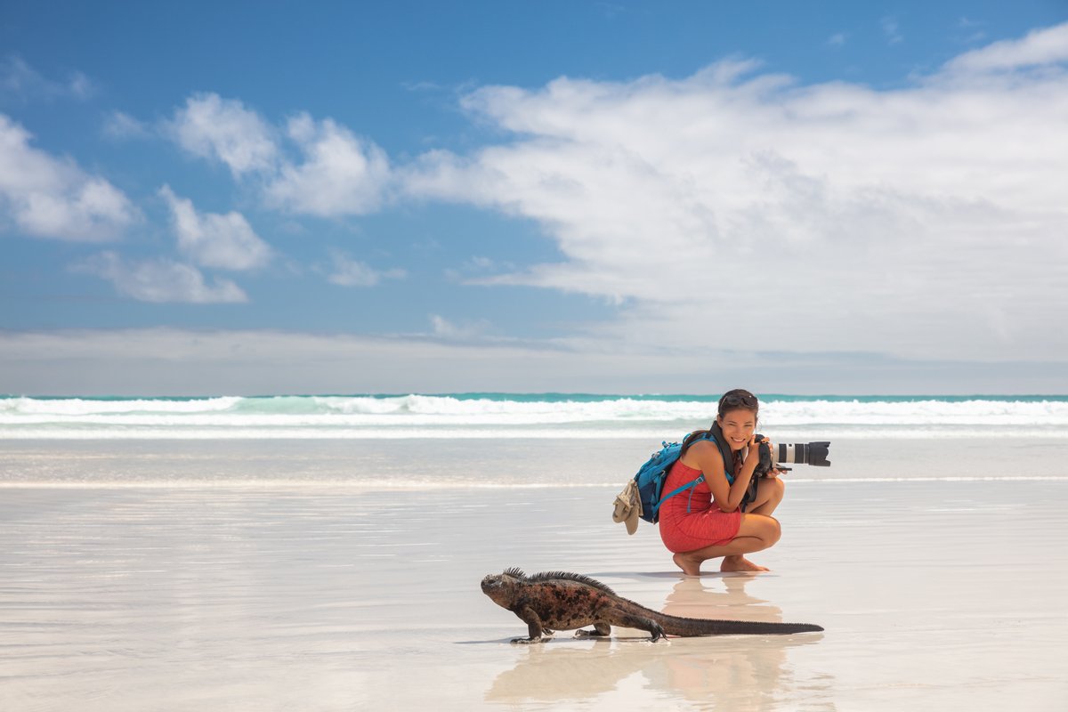 Sea lions and shore wildlife on an pristine Galapagos beach