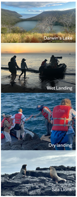 Galapagos Expedition Activities Grid: Darwin Lake, Wet Landing, Dry Landing, Sea Lions