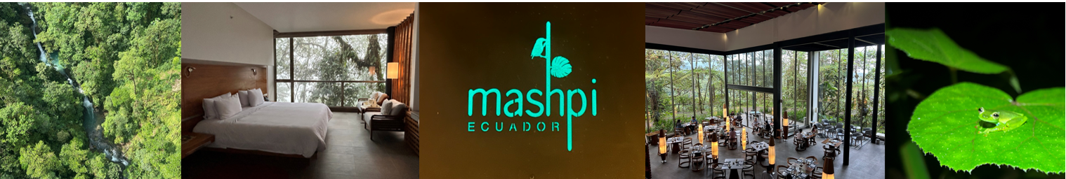 Mashpi Lodge Cloud Forest Activities: Lodge Exterior, Sky Bike, Glass Frog, Dragonfly Canopy Gondola
