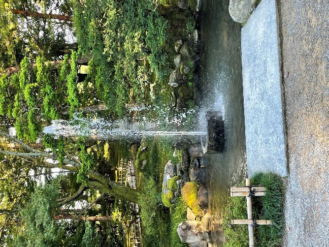 Kenroku-en Garden in Kanazawa showing water stone and ancient pines
