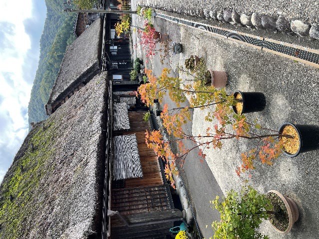 Shirakawa-go UNESCO World Heritage thatched gassho-zukuri farmhouses