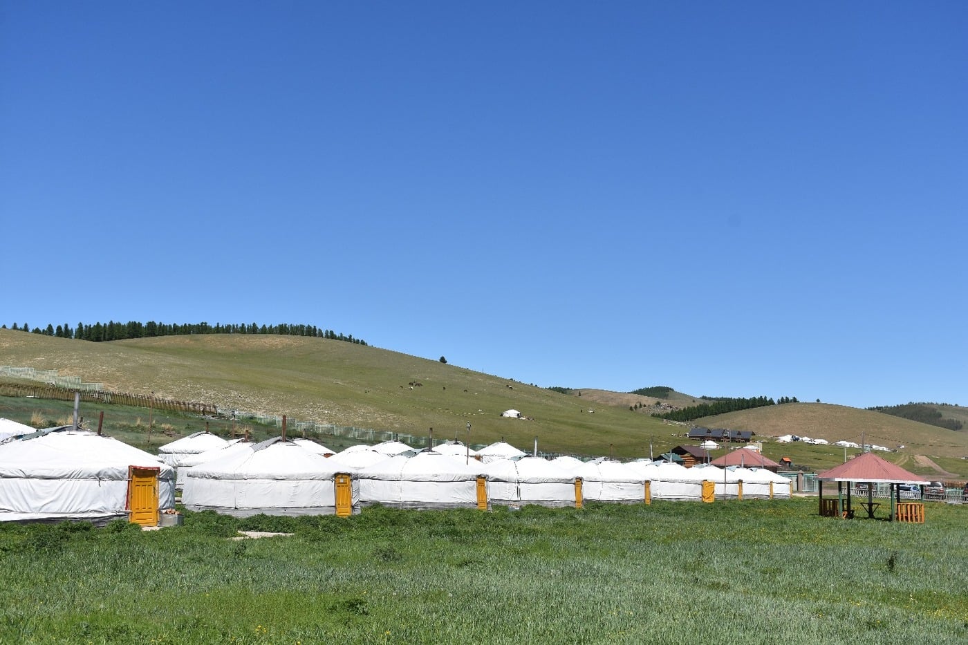 Traditional ger camp surrounding steaming outdoor geothermal pools at Tsenkher Hot Springs