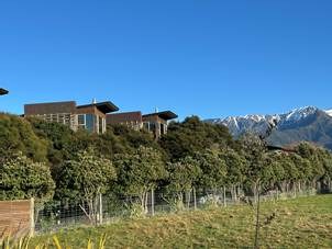 Azur Lodge Queenstown panoramic villa overlook