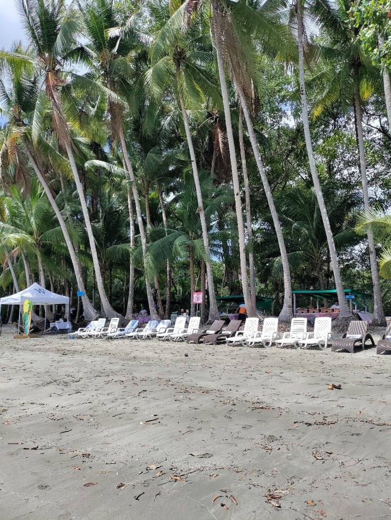 Isla Parida private beach day in Panama with Windstar Cruises