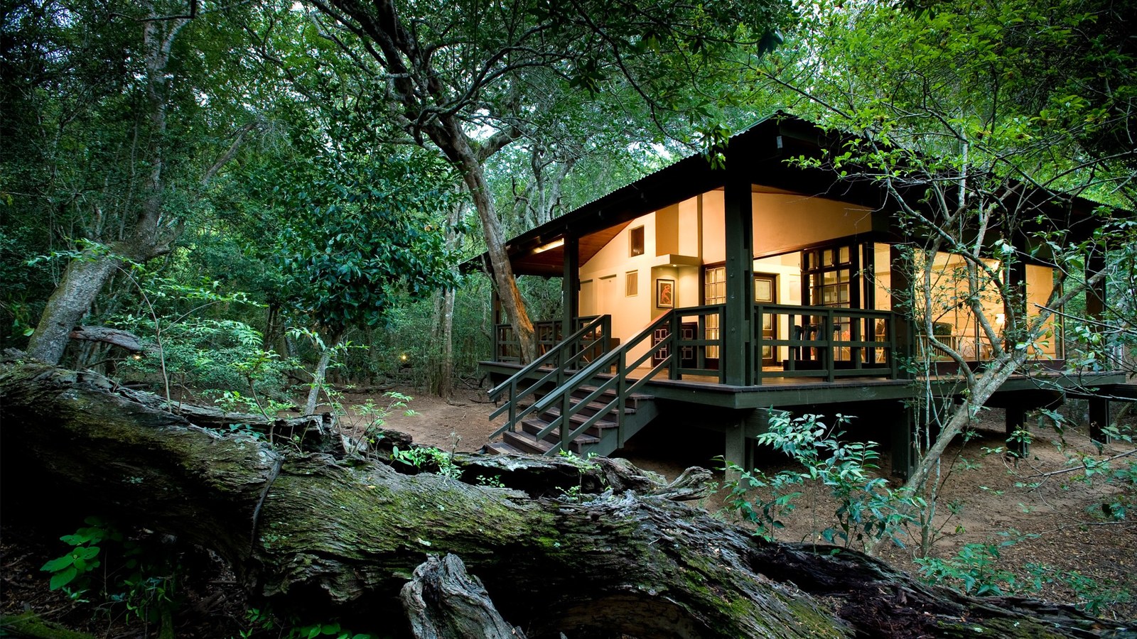 Glass-walled suite at andBeyond Phinda Forest Lodge in dry sand forest