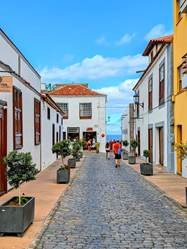 Exploring local markets and historic architecture in La Laguna