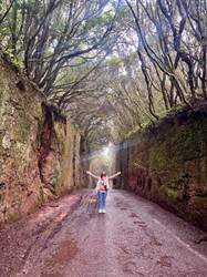 Hiking along rugged ridges in Tenerife nature reserve