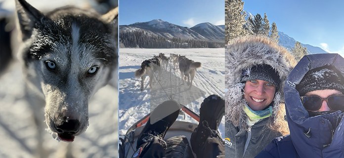 Blue-eyed sled dog and mushing team on Boreal Kennels trek