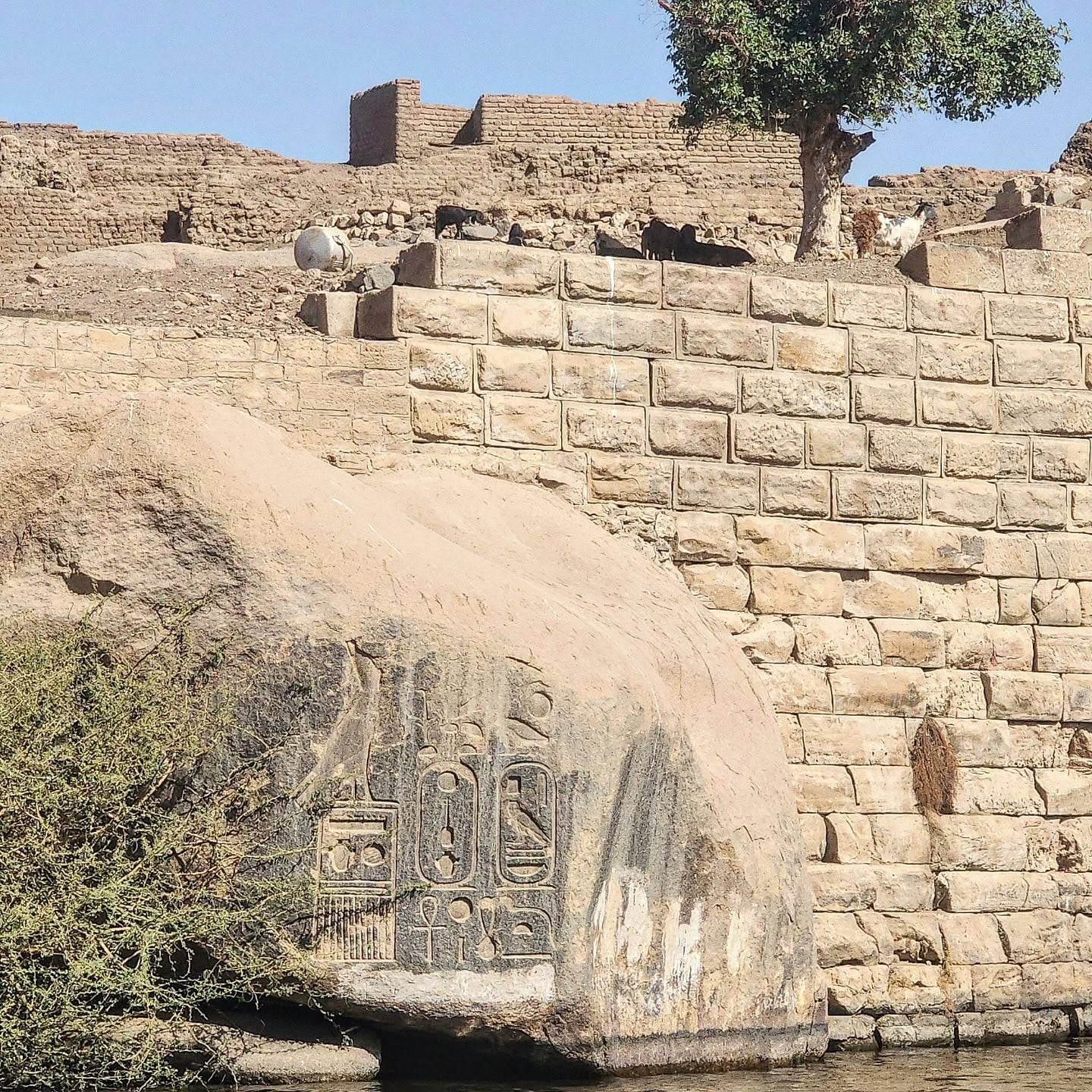 aswan felucca nile sailing old cataract 3