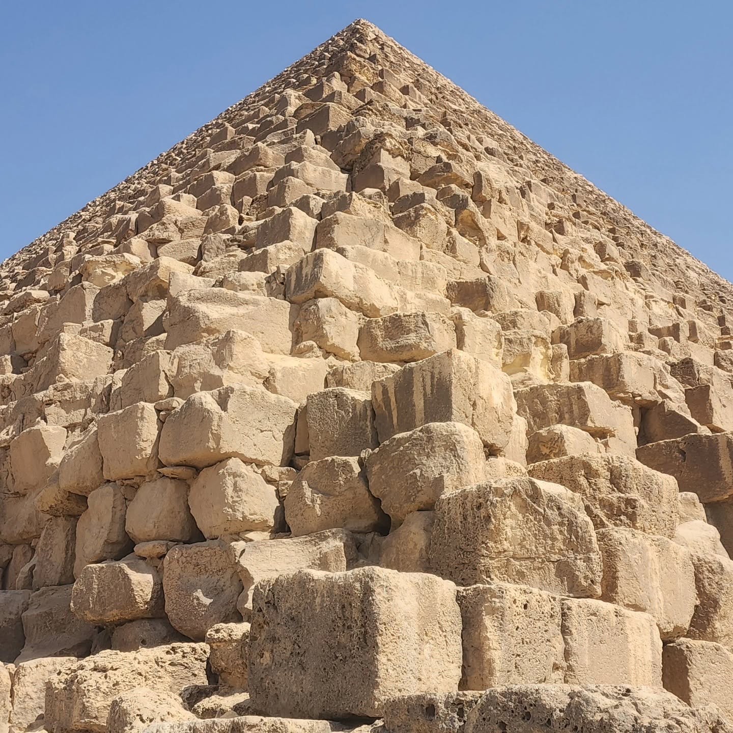 Camels and Desert Panorama at Giza Pyramids