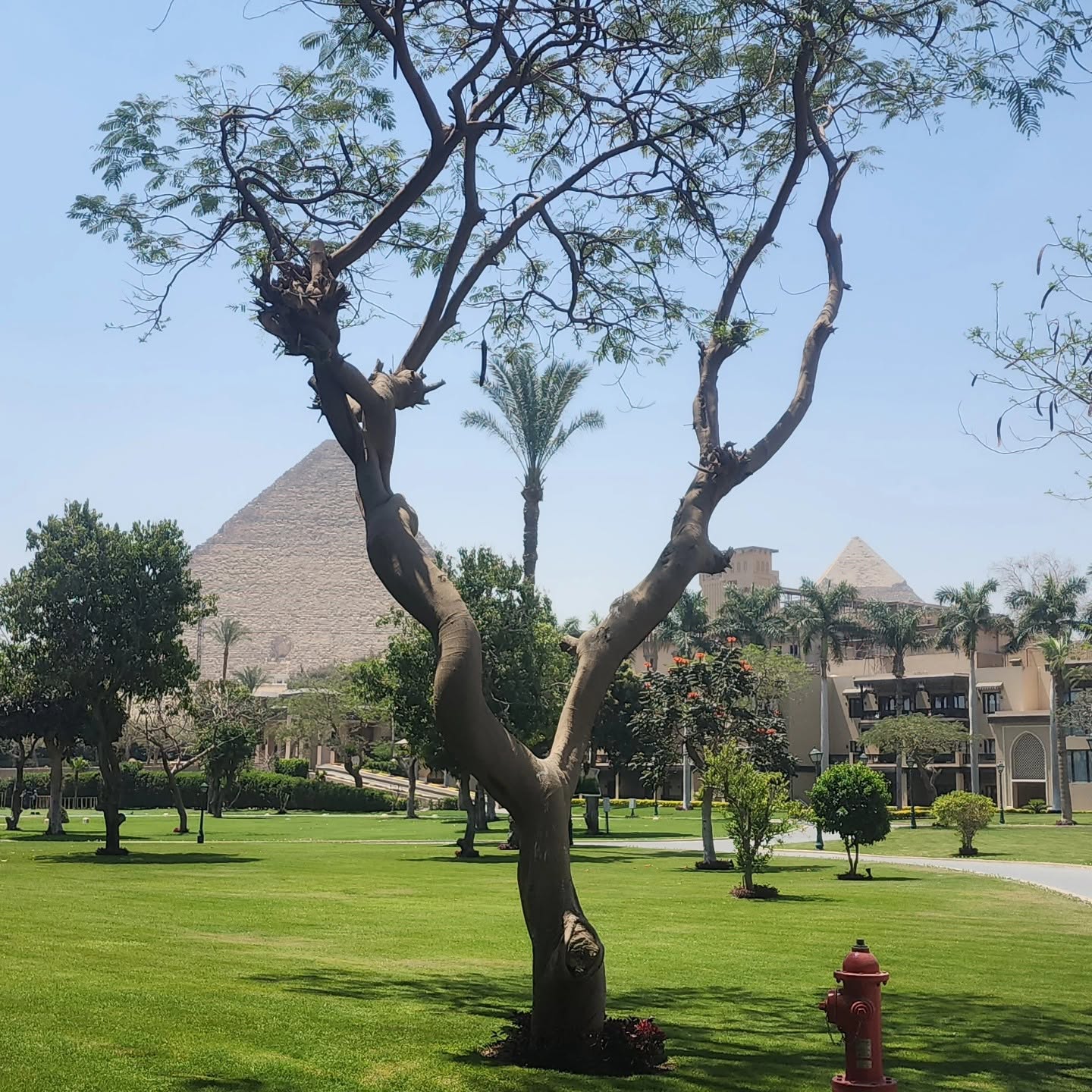 Marriott Mena House Private Balcony Terrace Pyramid View