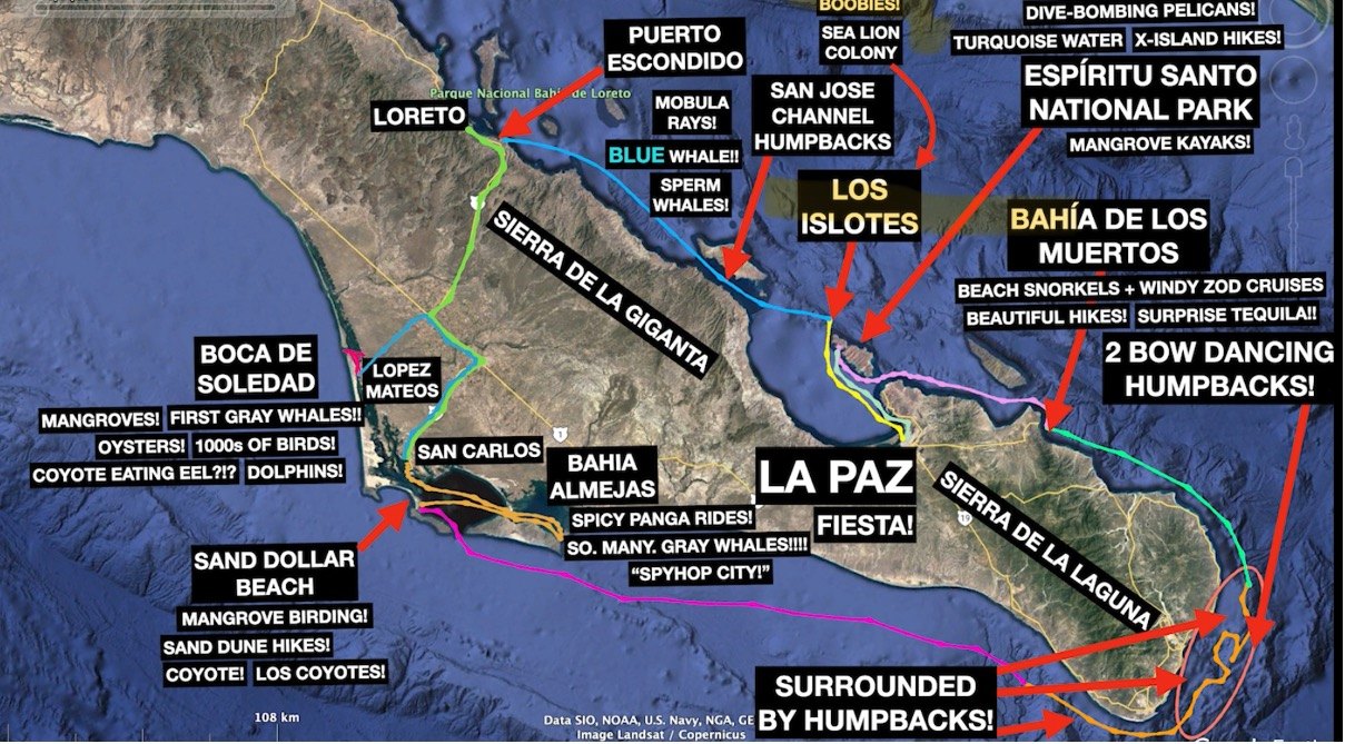 Among the Great Whales Baja California expedition route map