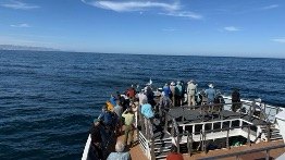 Guests gathered on the bow of National Geographic Venture observing whales