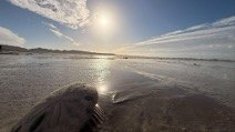 Pristine white sands at Sand Dollar Beach Baja California