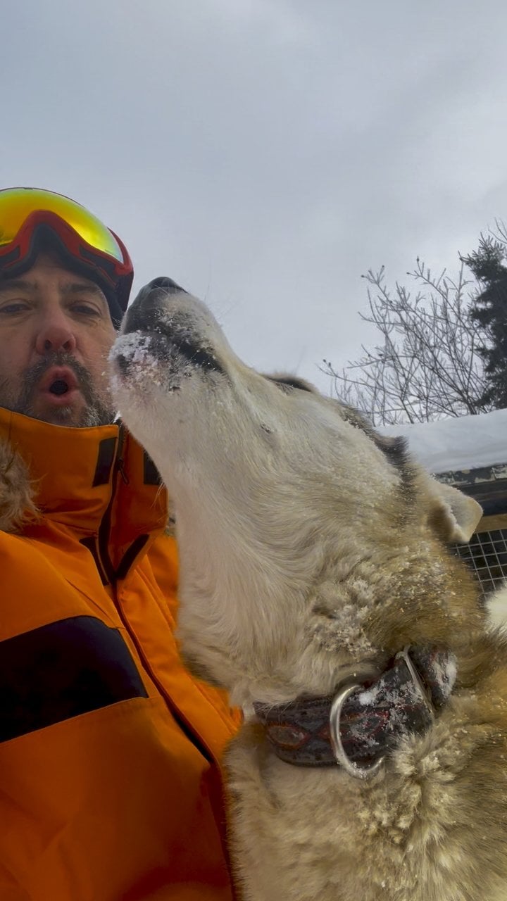 Karl howling with lead sled dog Tundra in the Saguenay boreal forest