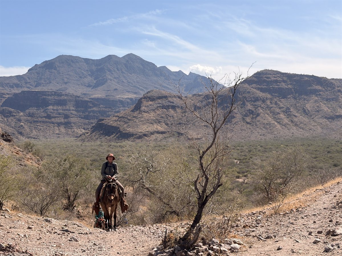 Local rancheros and burros along the beach of Bahia Agua Verde Baja California