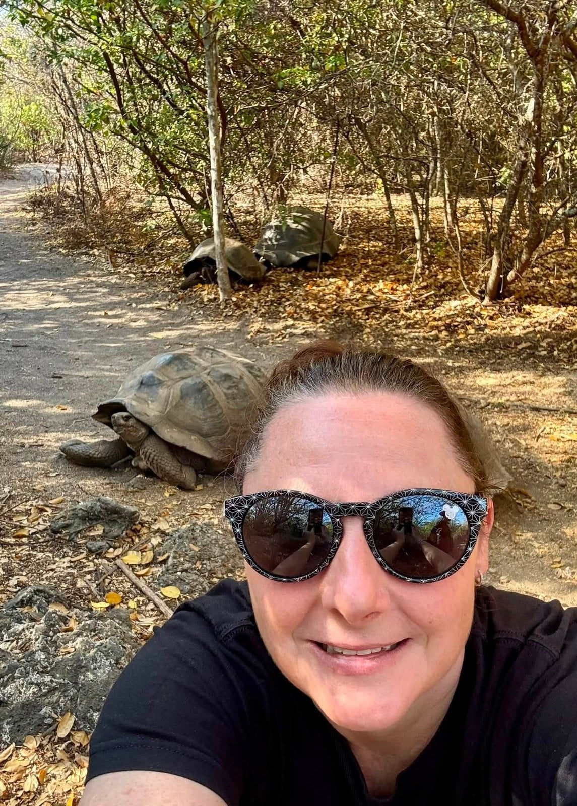 Unforgettable up-close moment with the gentle Giant Galapagos Tortoises