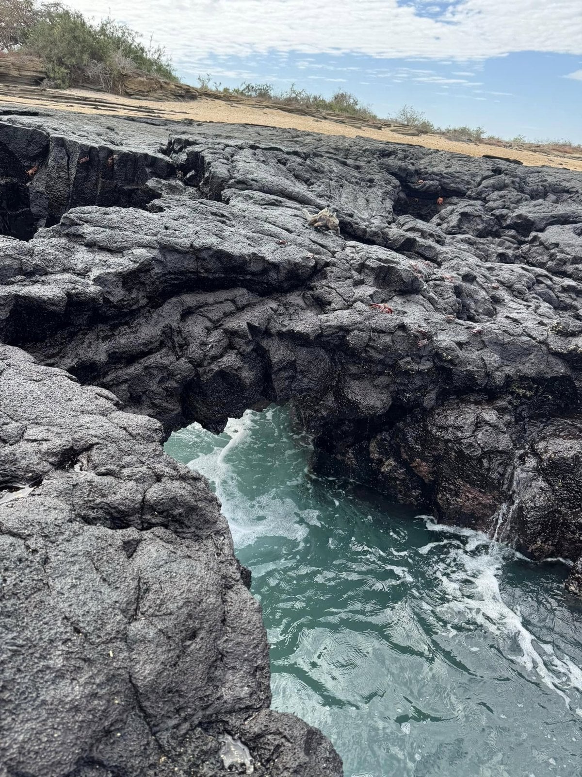 Collapsed black basalt lava bridge and surging turquoise ocean grotto at Puerto Egas