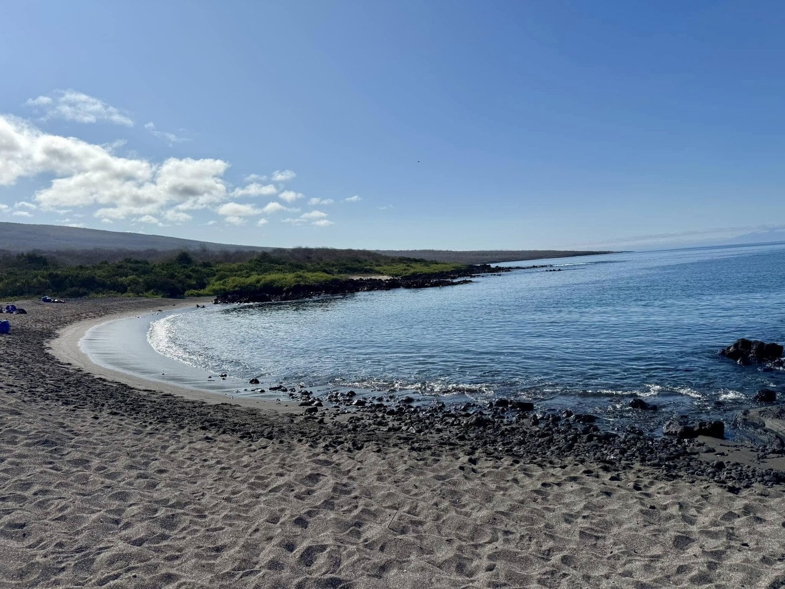 Sweeping crescent bay dotted with hundreds of basking marine iguanas
