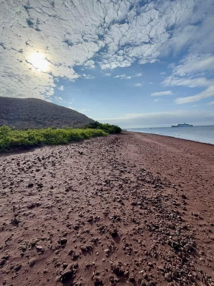 The extraordinary iron-rich crimson beaches of Rabida Island under a brilliant equatorial sky