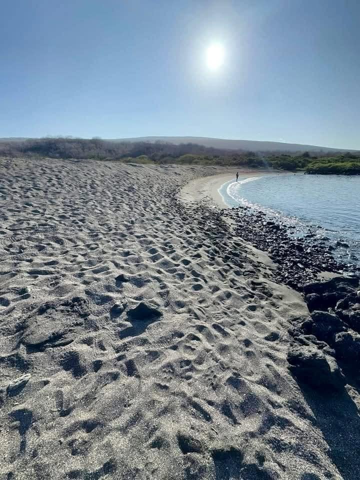 Pristine sweeping shoreline of Urbina Bay on Isabela Island before our beach snorkel