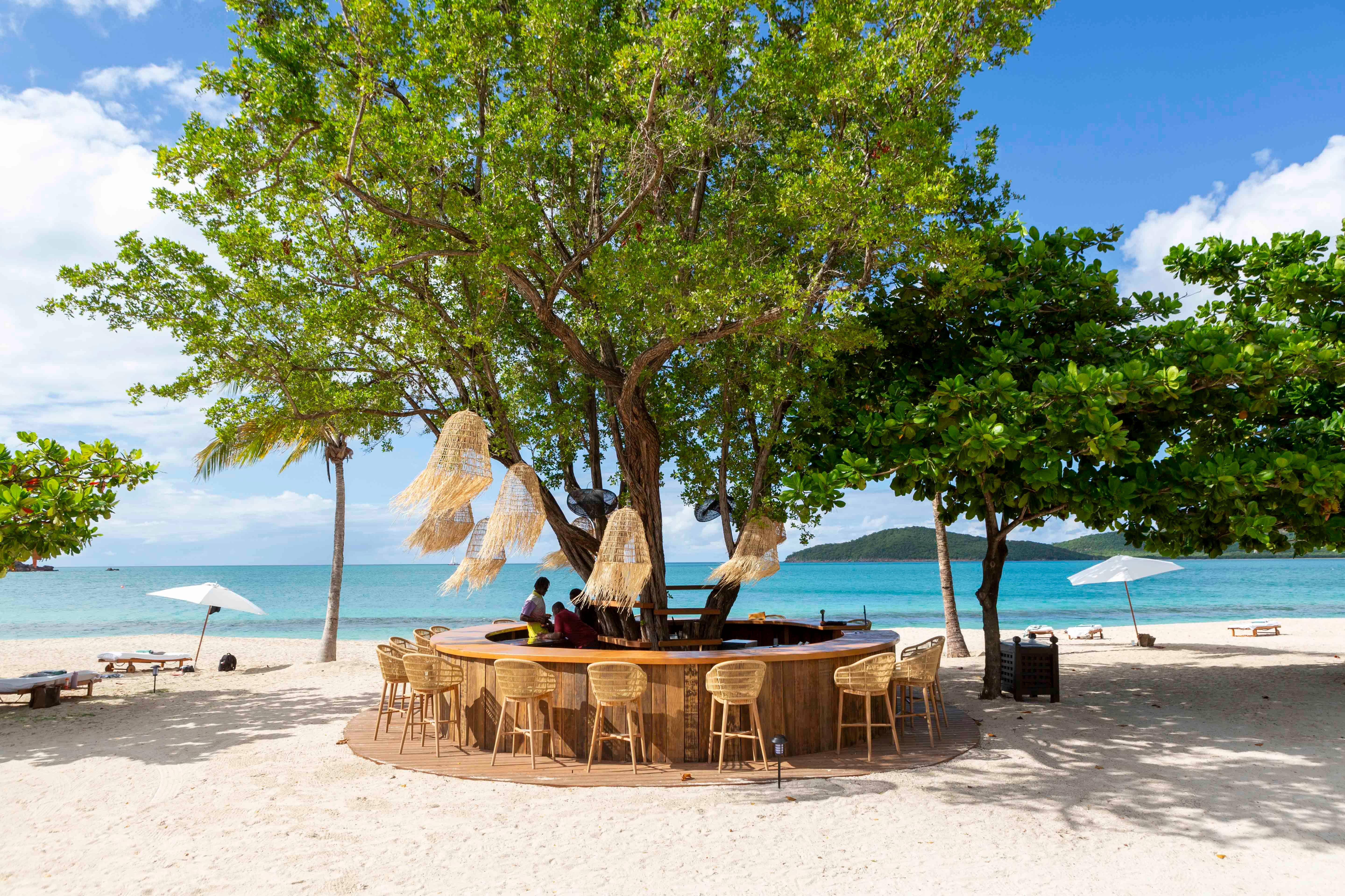 The Tree Bar Lounge