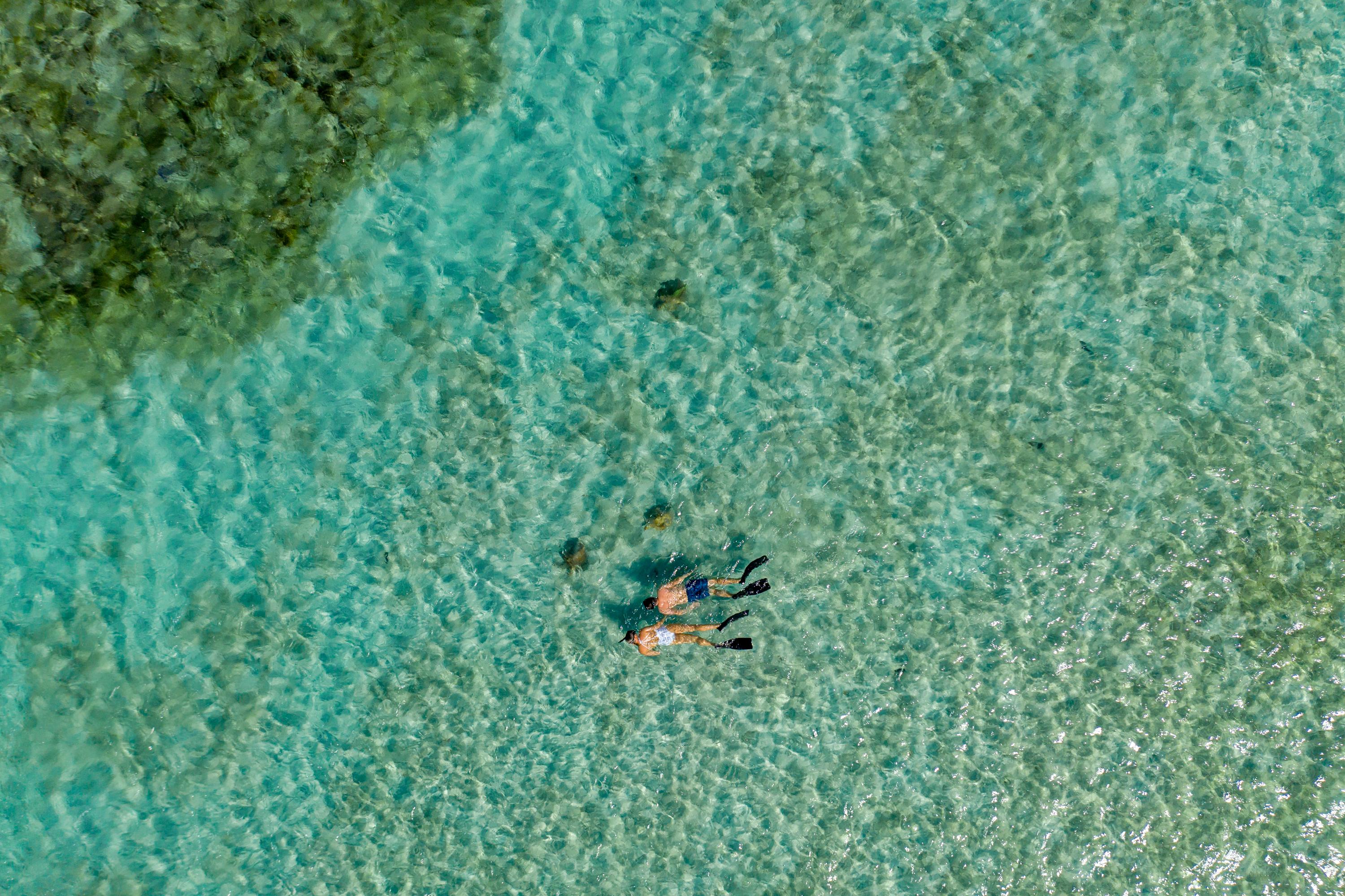 Snorkeling directly from the beach among vibrant coral reefs and marine life