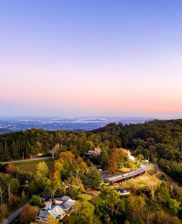 Aerial view of Sequoia Lodge surrounded by native eucalypt trees and Adelaide Hills vineyards