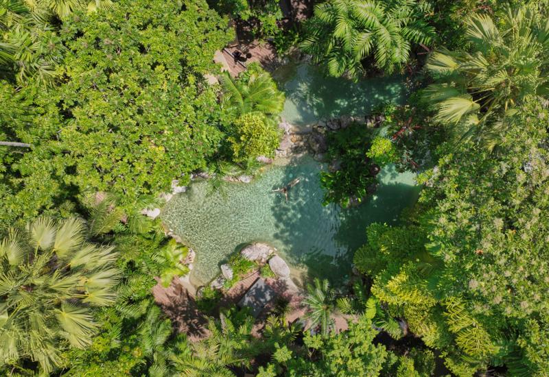Lodge lagoon pool surrounded by lush tropical vegetation