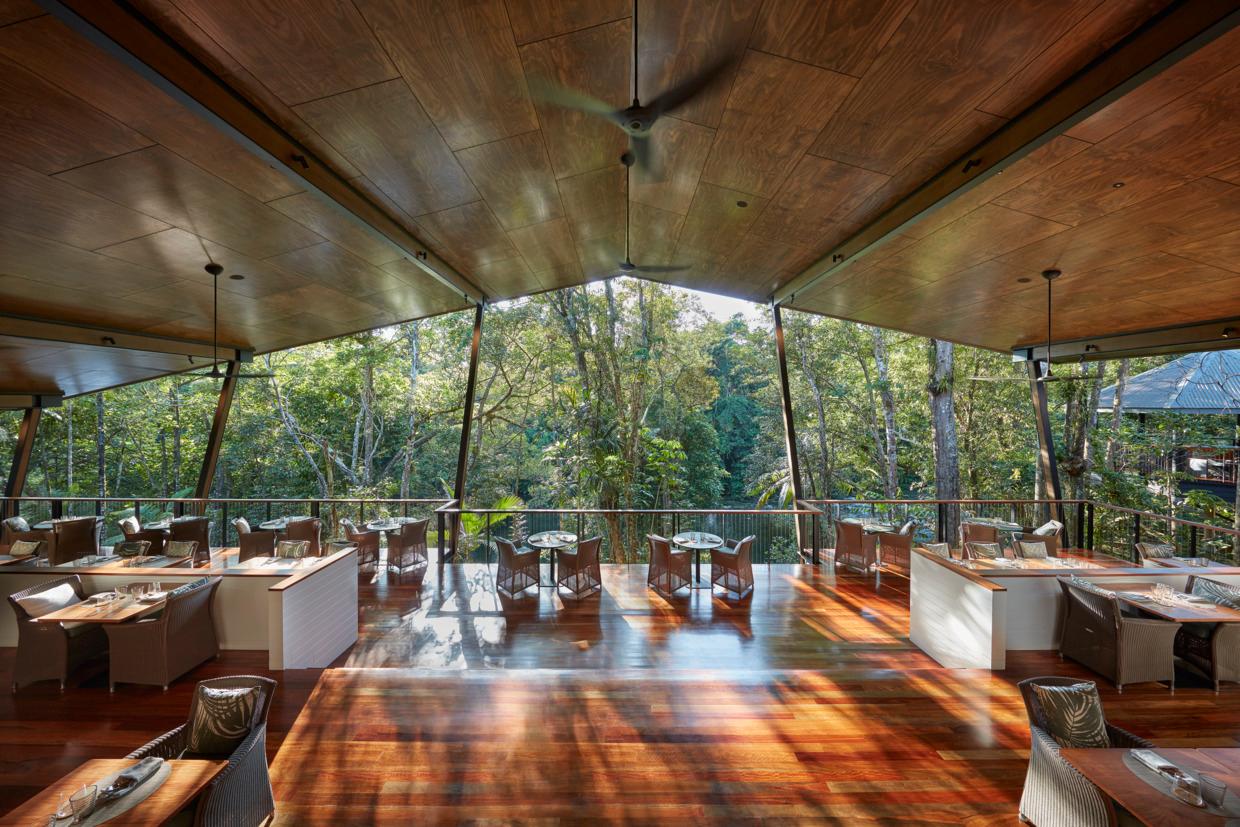 Tiered Treehouse Restaurant dining suspended in the rainforest treetops