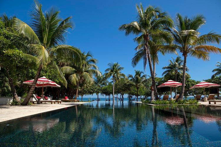 Beachfront pool and palm trees