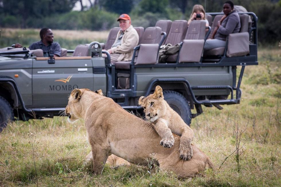 Game Drive in Okavango