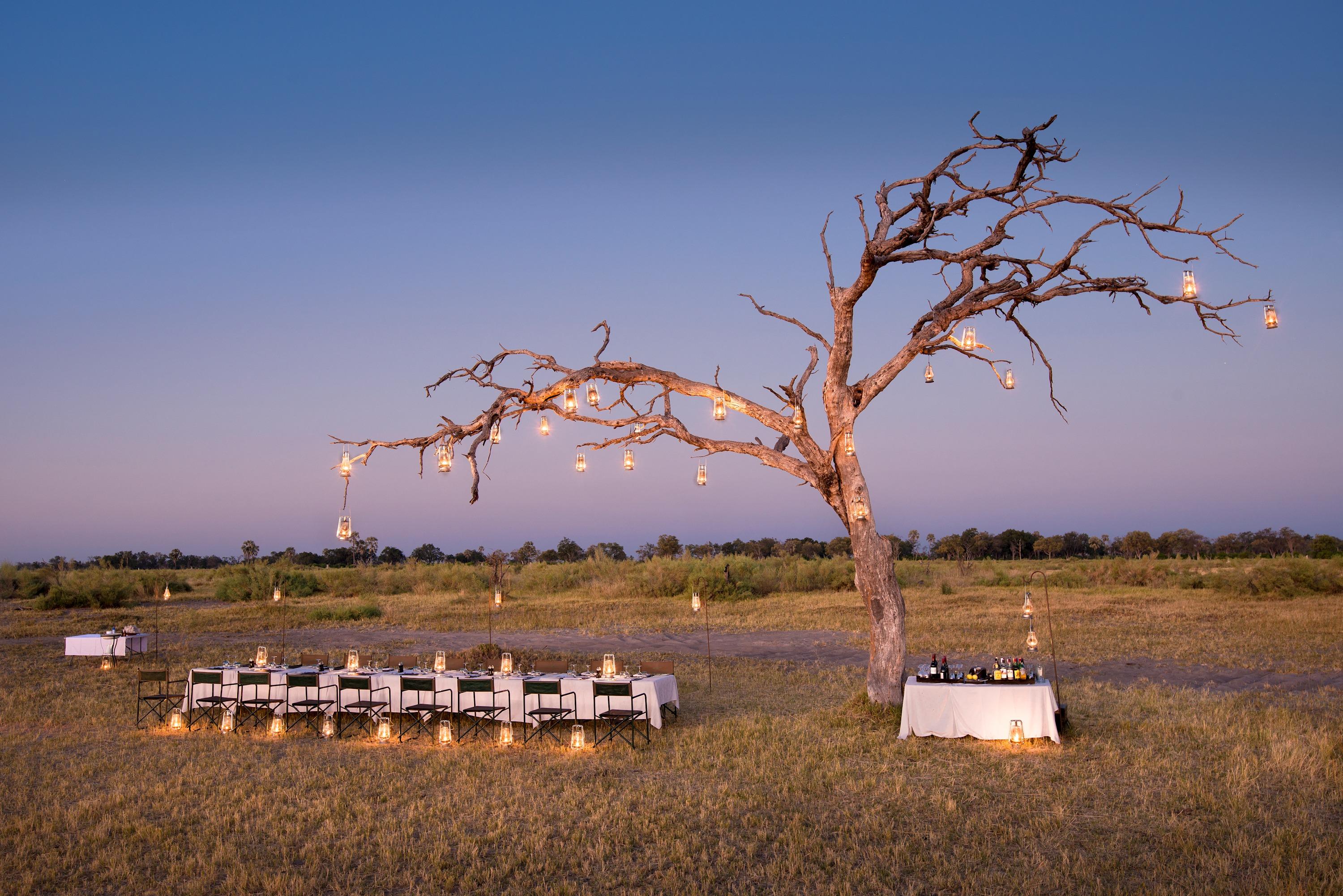 Private Bush Dinner