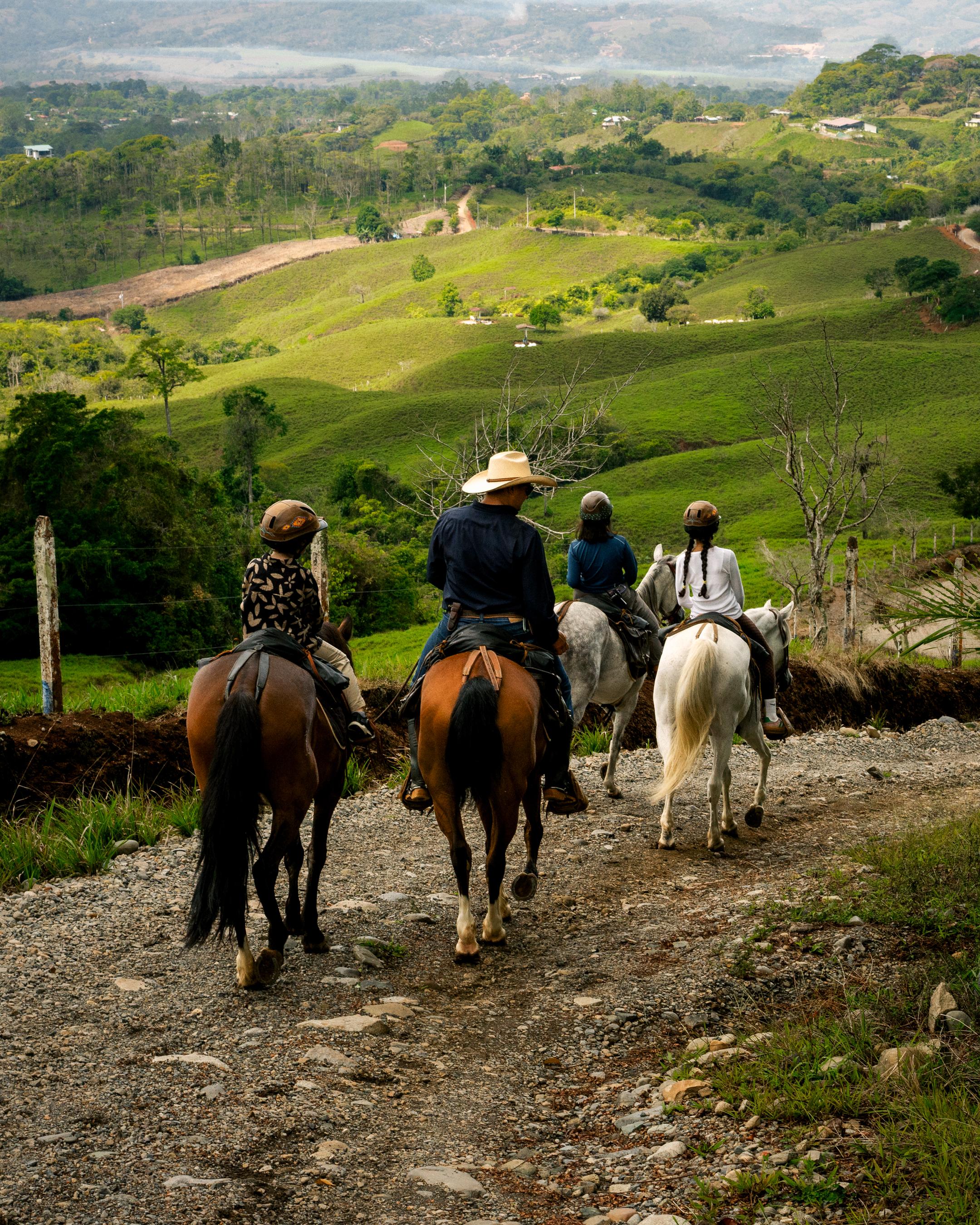 Equestrian stables and trail horses