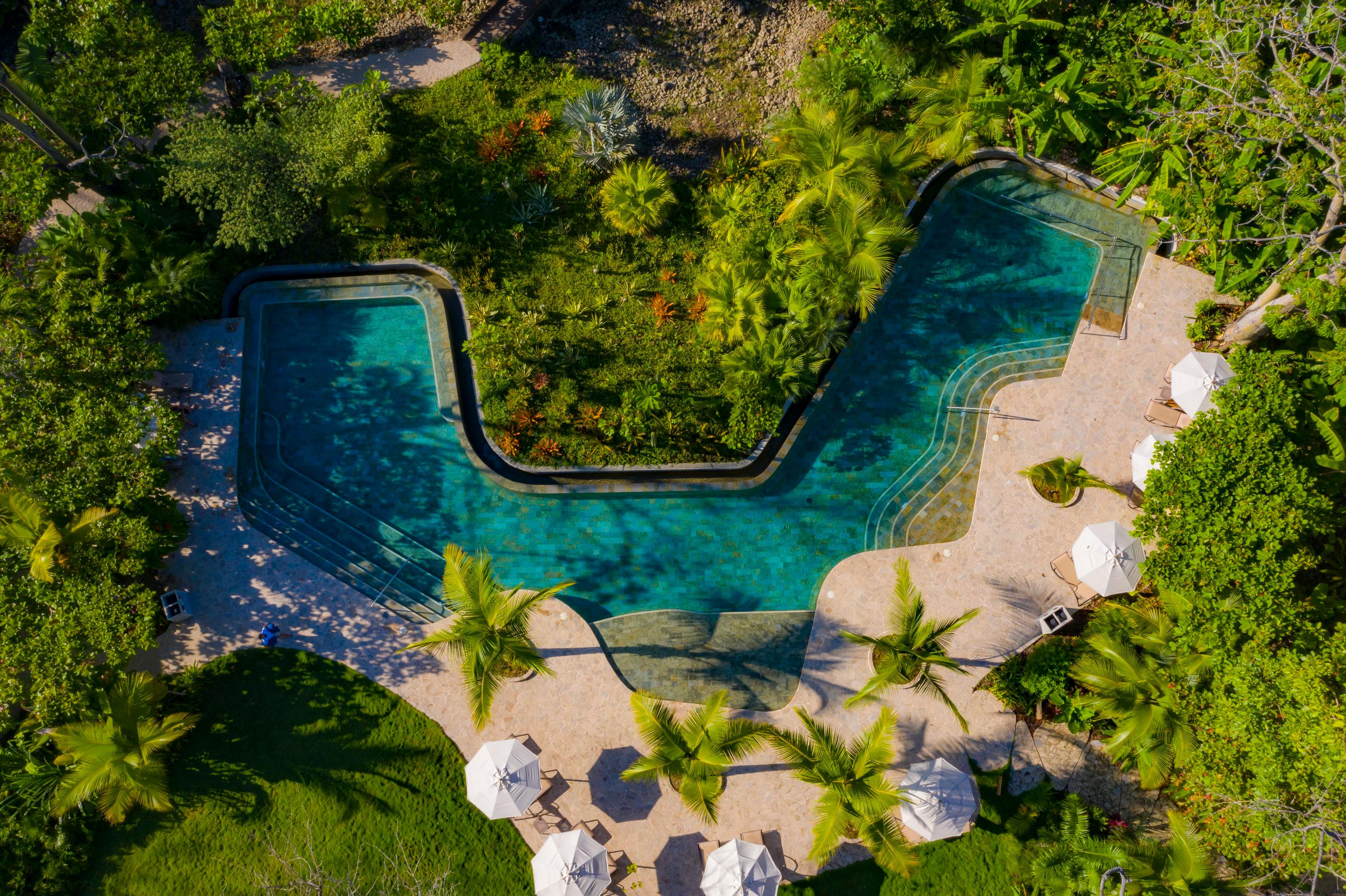 Lush tropical swimming pool and sun loungers