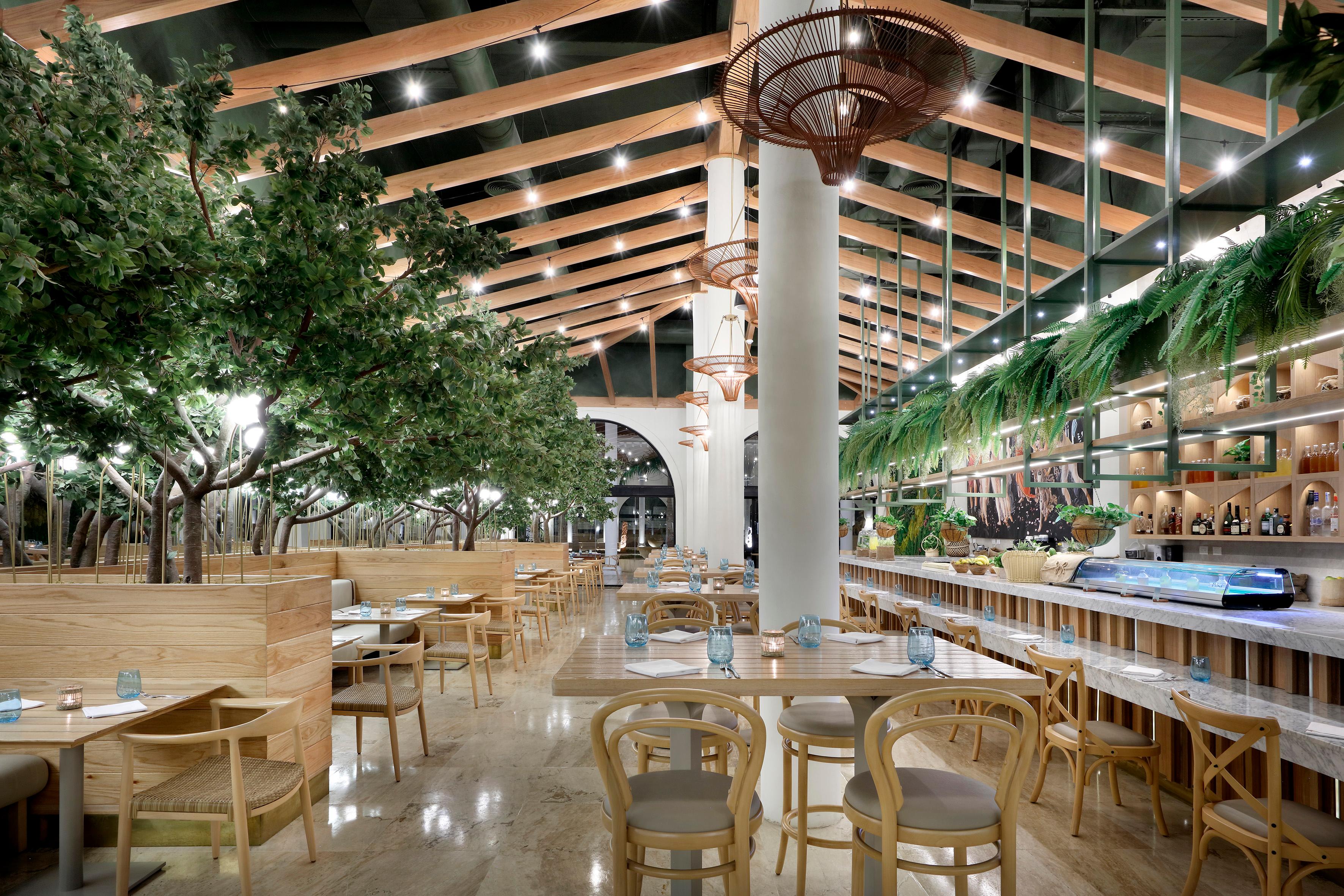 Flora adults-only restaurant offering botanical plant-forward dining