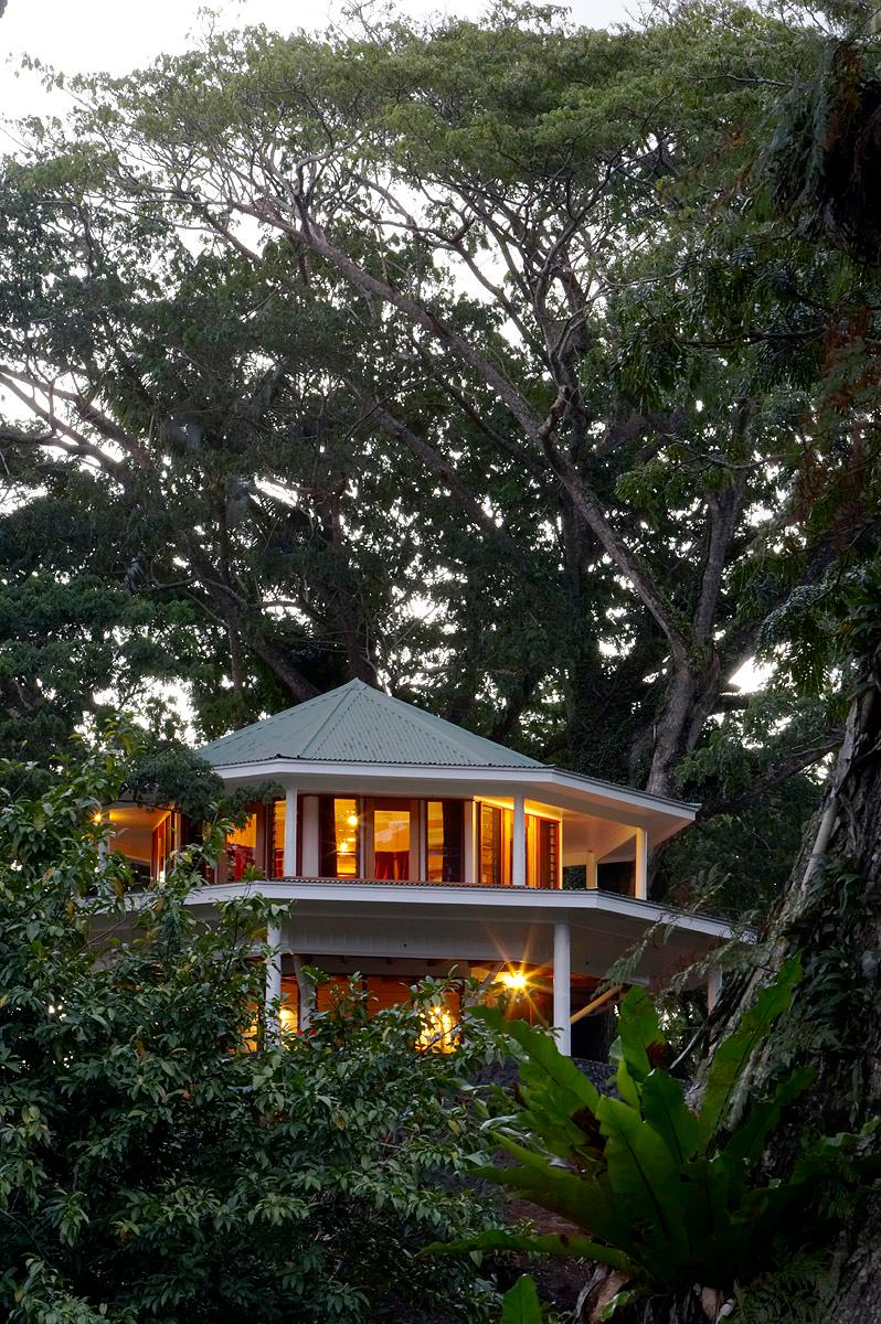 Secluded Tree Top Villa in rainforest canopy