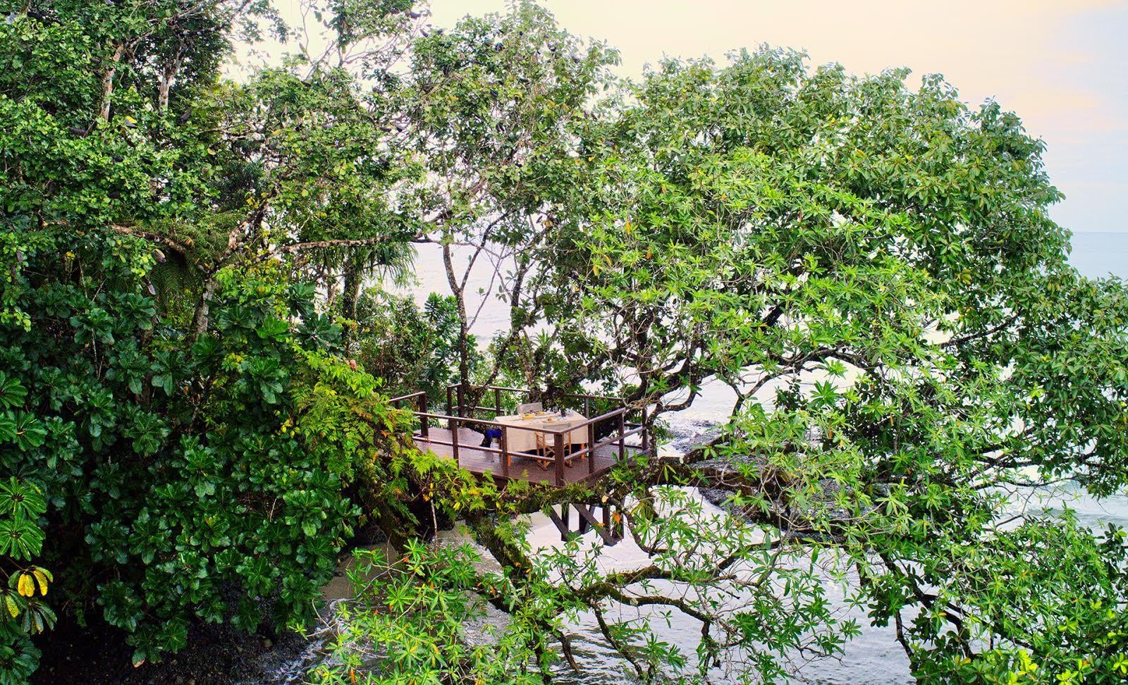 Romantic elevated banyan treetop private dining