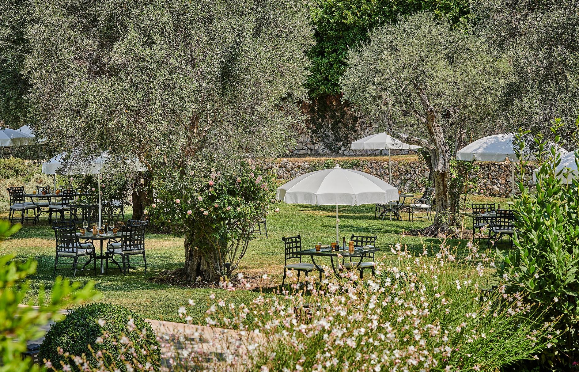 L'Oliveraie olive grove dining