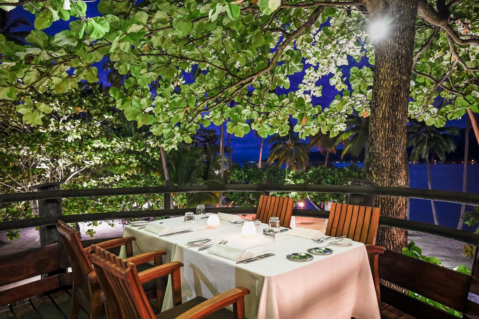 Hawaiki Nui Restaurant elevated high among palm tree canopies