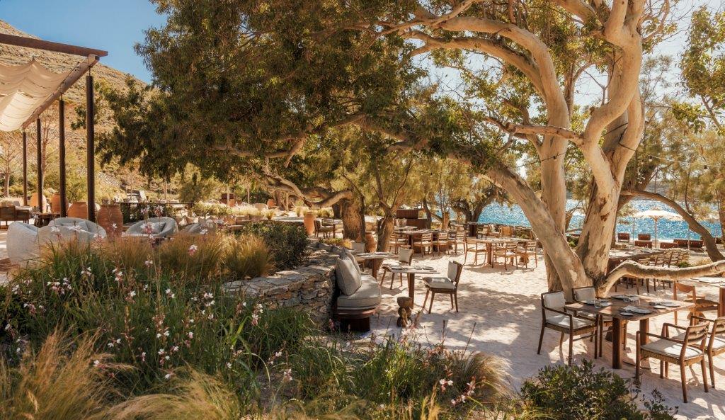 Bond Beach Club Shaded Lounges and Seaside Dining Overlooking Protected Cove