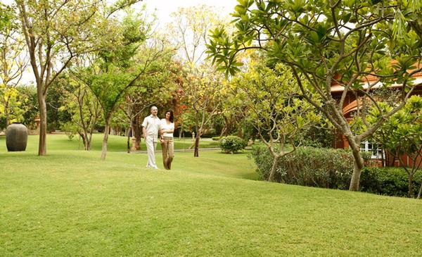 32 Acres of Landscaped Palace Grounds