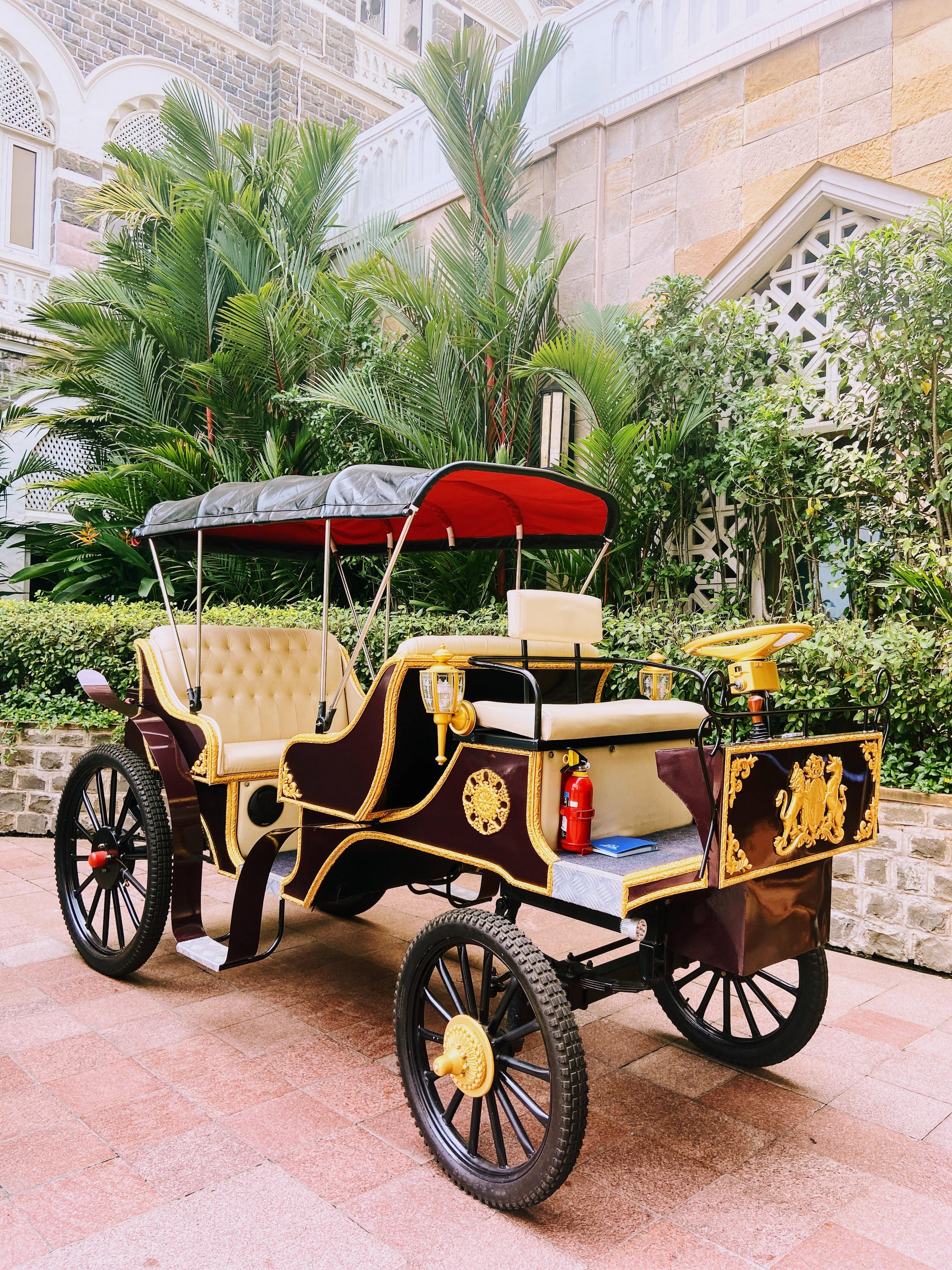 Royal Horse Carriage Arrival Ceremony